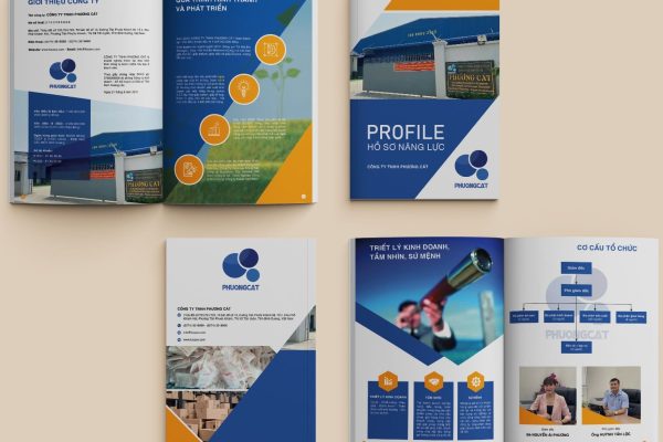 in Catalog, Profile Phương Cát