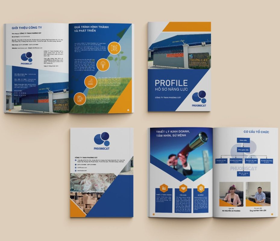 in Catalog, Profile Phương Cát